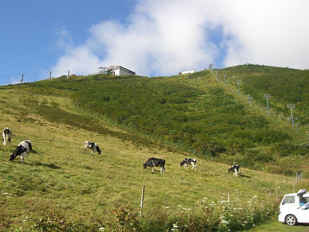 הוילה האקובה Il Bosco מראה חיצוני תמונה